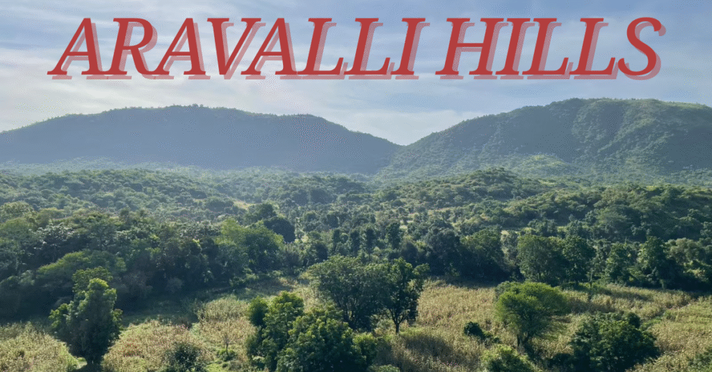 Aravalli Hills