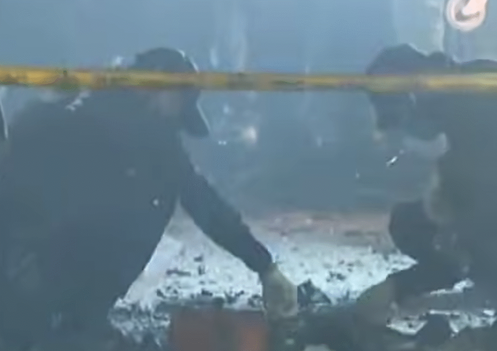 Investigation On Delhi Blast